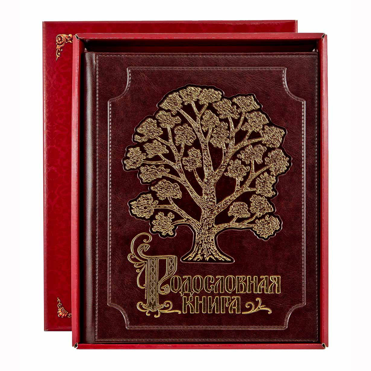 Родословная книга "Золоченное древо" (в подар. упаковке) РК-74