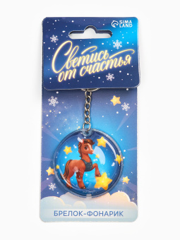 Брелок с фонариком "Светись от счастья", 5 х 5 см 10860884
